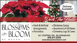 Advertisement Advertisement