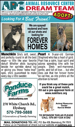 Advertisement Advertisement