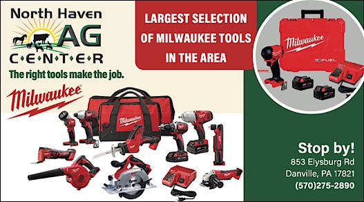 Advertisement Advertisement