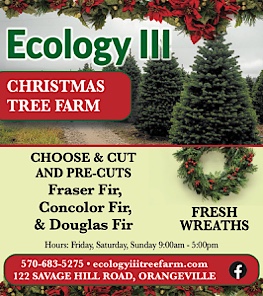 Advertisement Advertisement