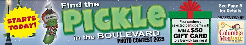 Advertisement Advertisement