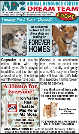 Advertisement Advertisement