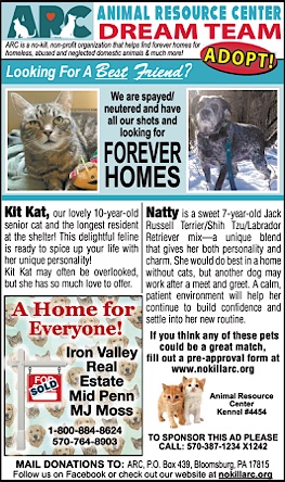 Advertisement Advertisement