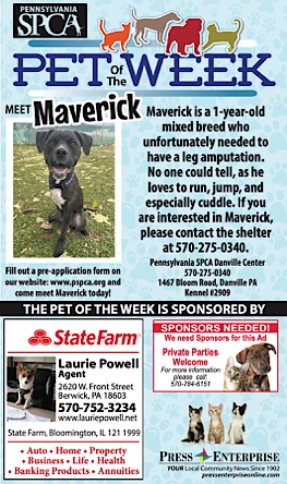 Advertisement Advertisement