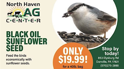 Advertisement Advertisement