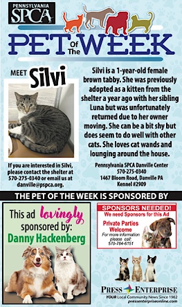 Advertisement Advertisement