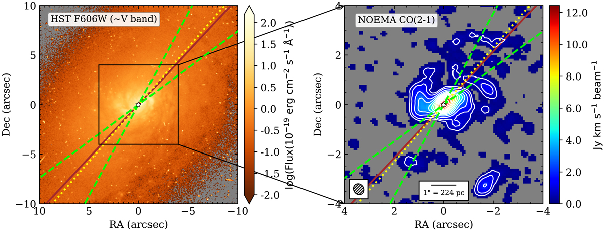 Searching for molecular gas inflows and outflows in the nuclear regions ...