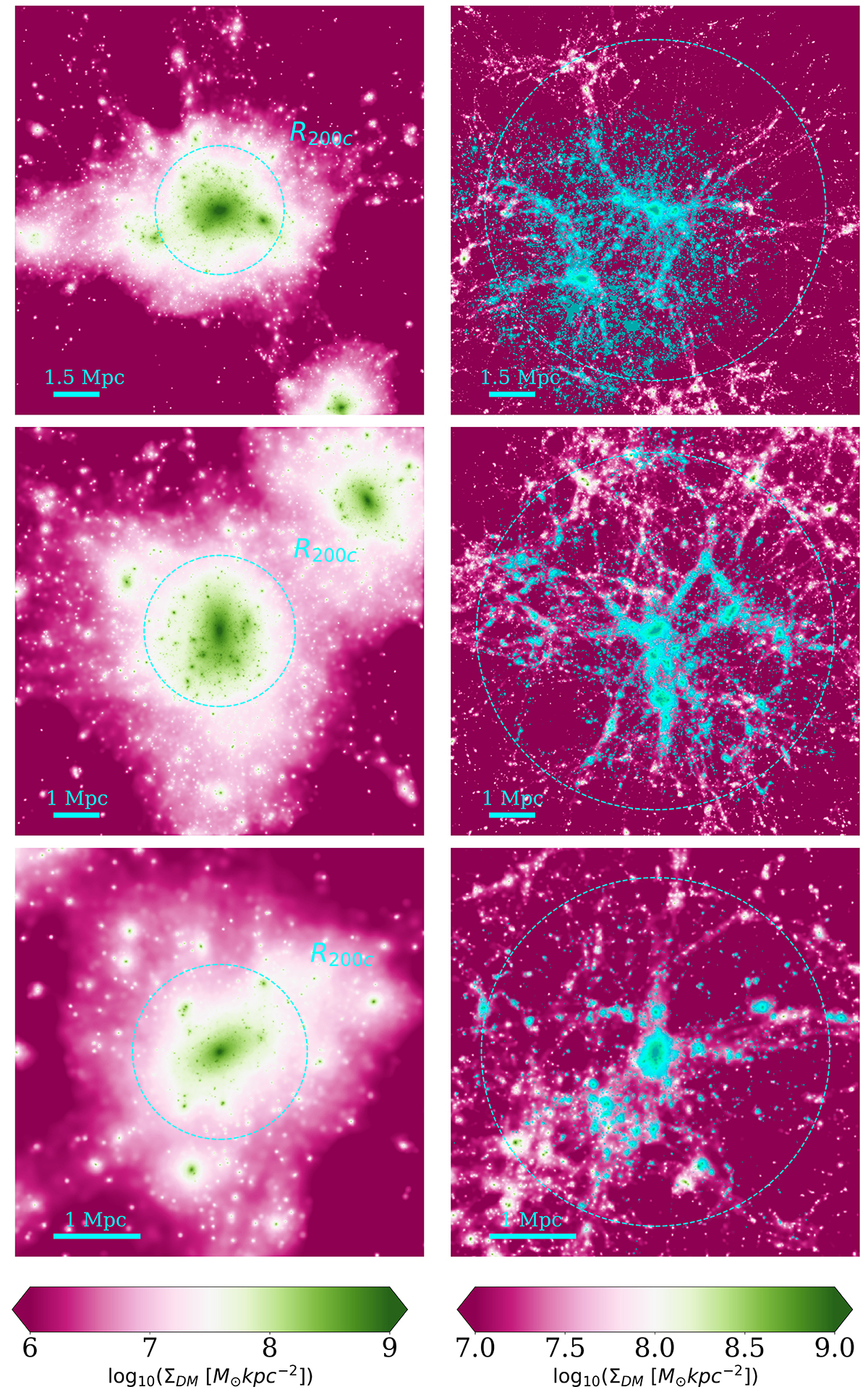 Galaxy populations of protoclusters in cosmological hydrodynamical ...