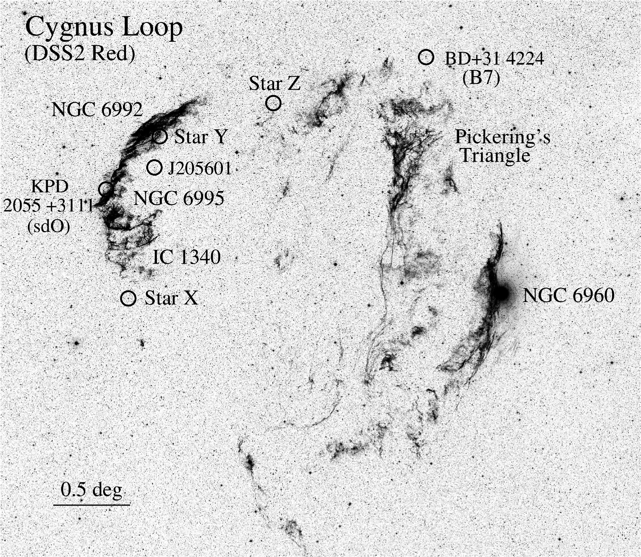 The Cygnus Loop's distance, properties, and environment driven ...