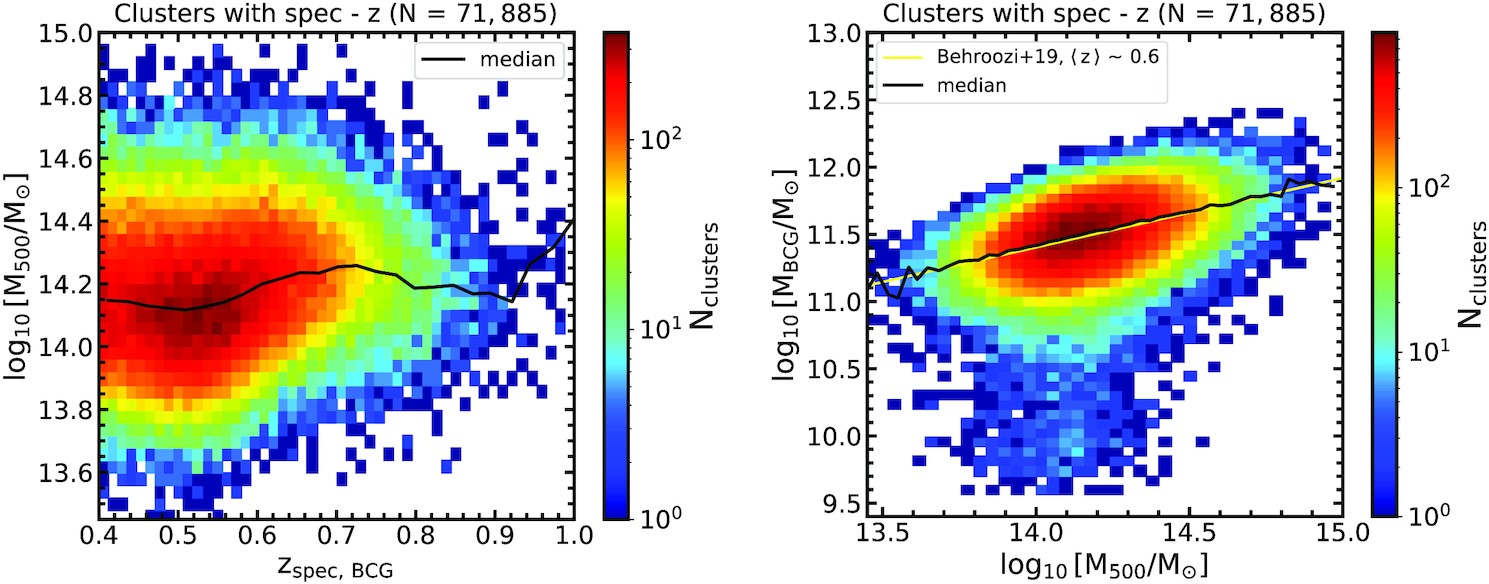 Cool circumgalactic gas in galaxy clusters: connecting the DESI legacy ...