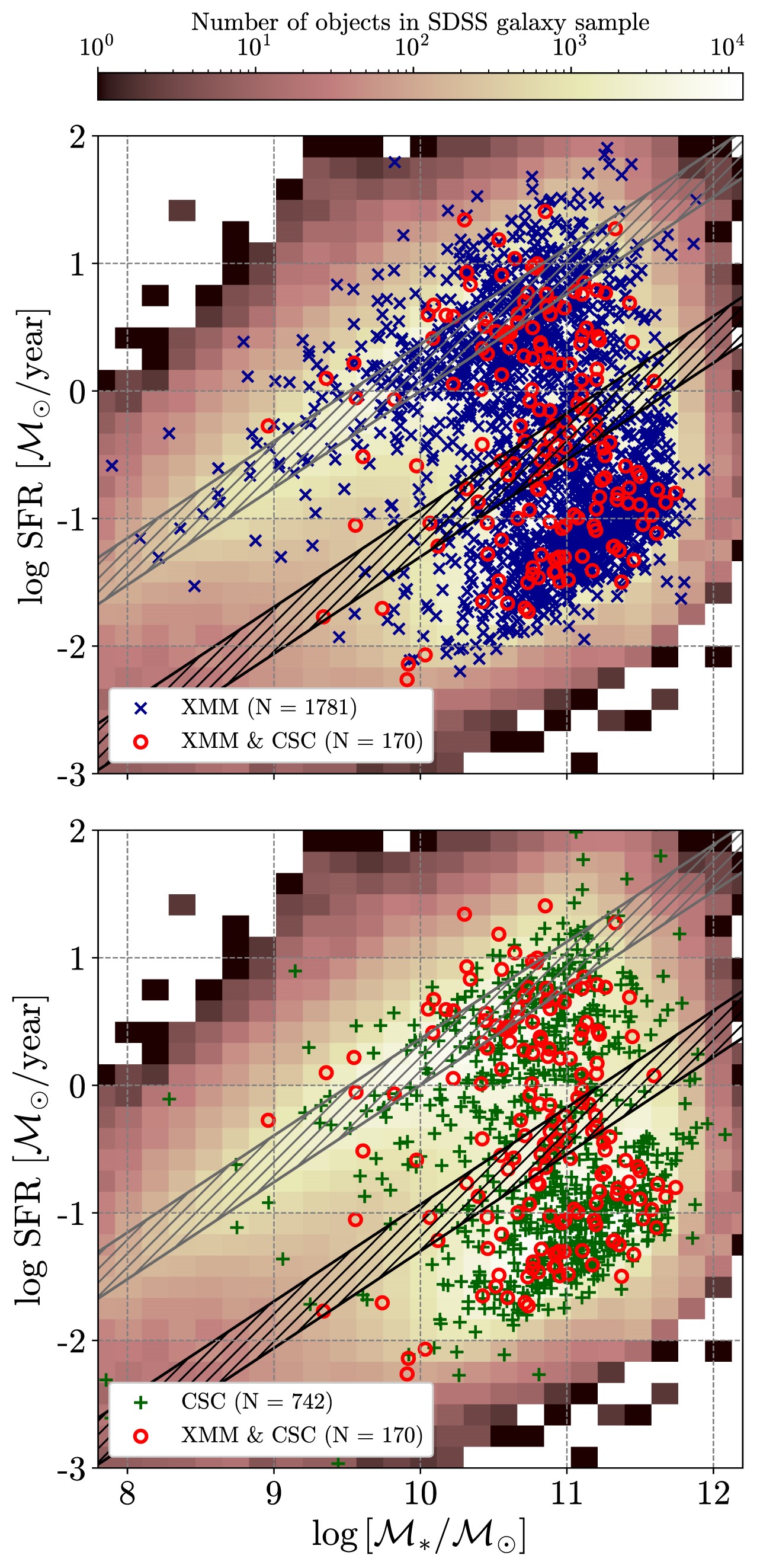 Probing supermassive black hole growth and its dependence on stellar ...