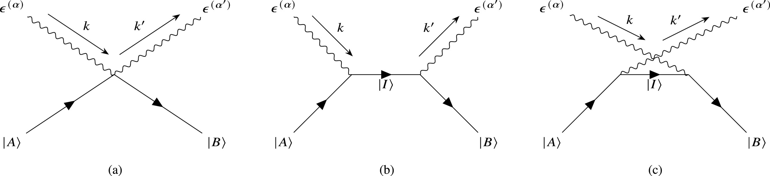Rayleigh and Raman scattering cross-sections and phase matrices of the ...