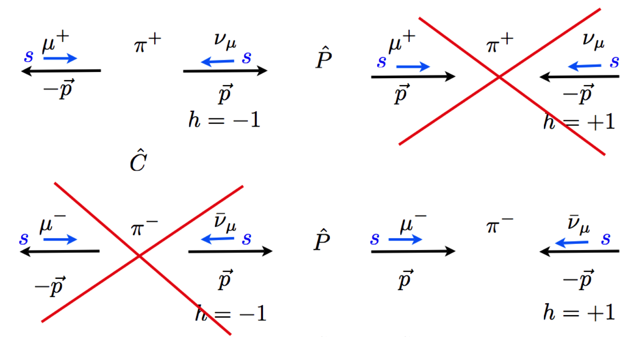 The Physics of Neutrinos NASA/ADS