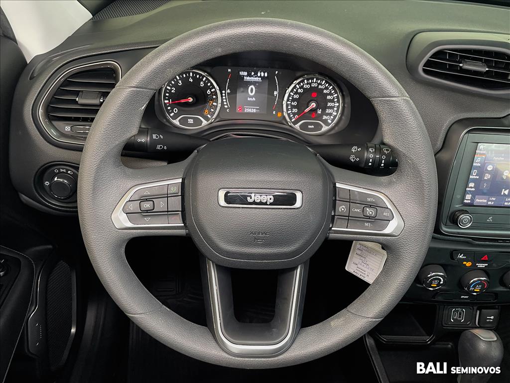 RENEGADE 1.3 T270 TURBO FLEX AT610