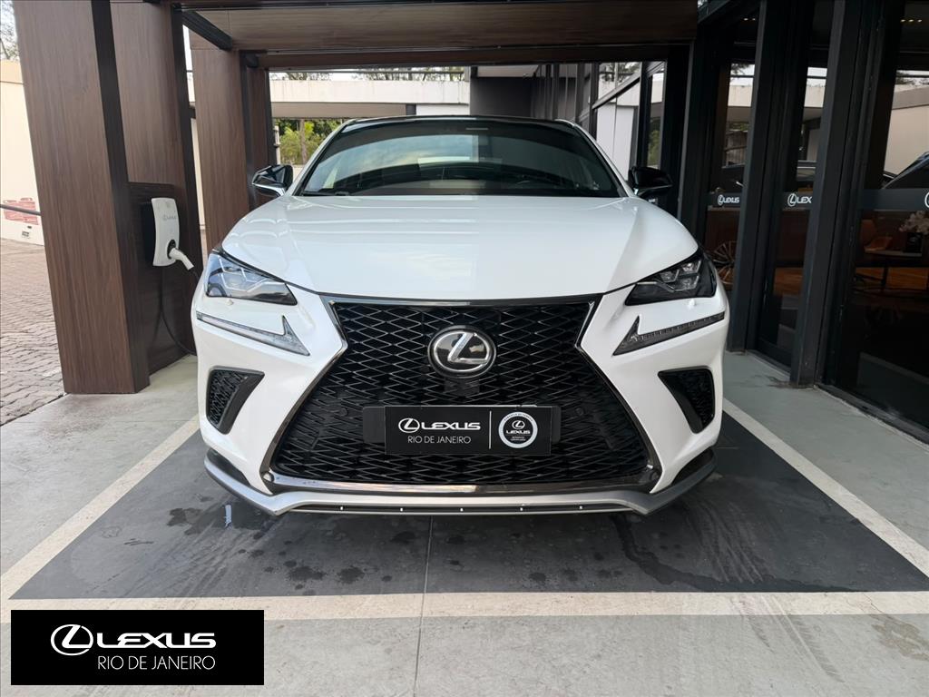 NX 300 2.0 16V VVT-i TURBO GASOLINA F-SPORT 6A/T AWD9