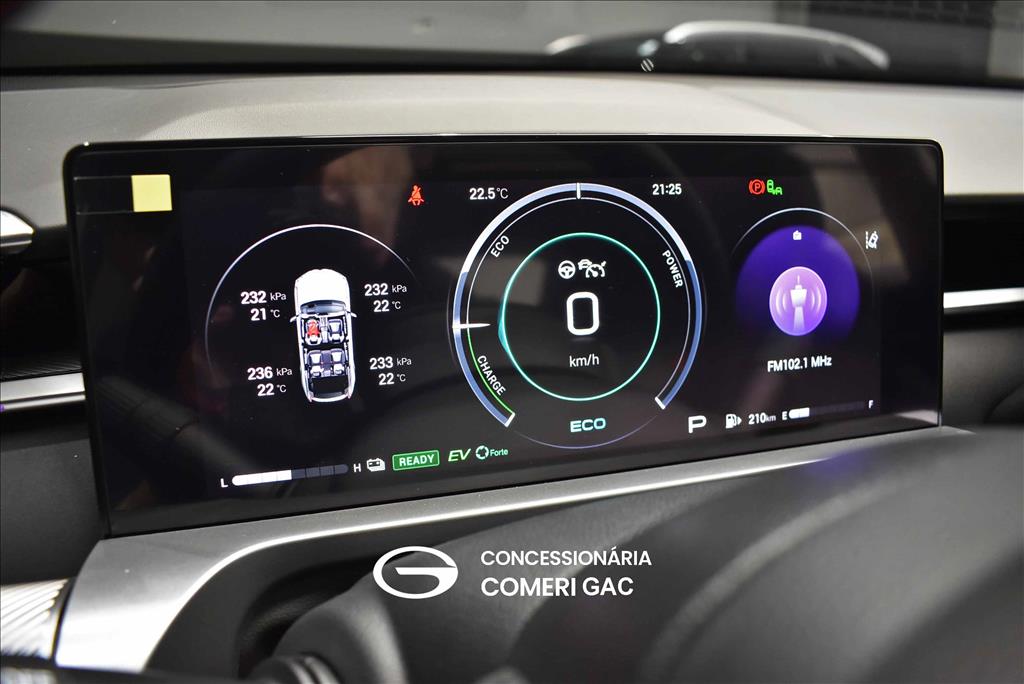 GS4 2.0 HEV ELITE AUTOMÁTICO13 GS4 2.0 HEV ELITE AUTOMÁTICO13