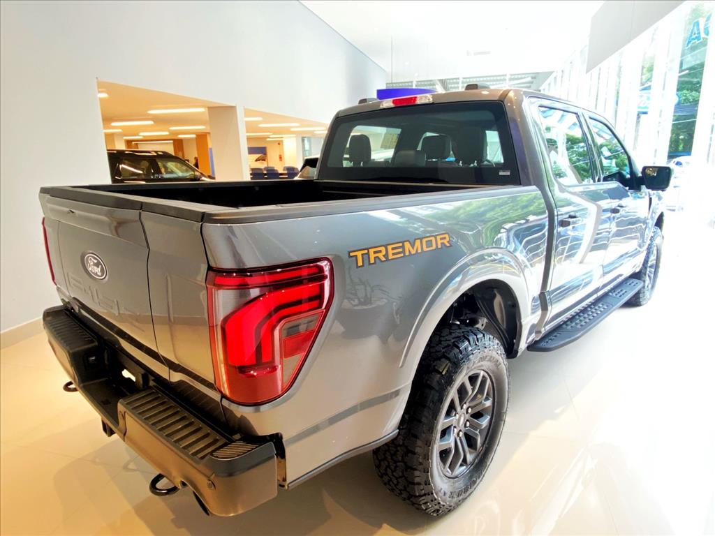 Ford-F-150-5.0 V8 GASOLINA CD TREMOR FX4 AUTOMÁTICO