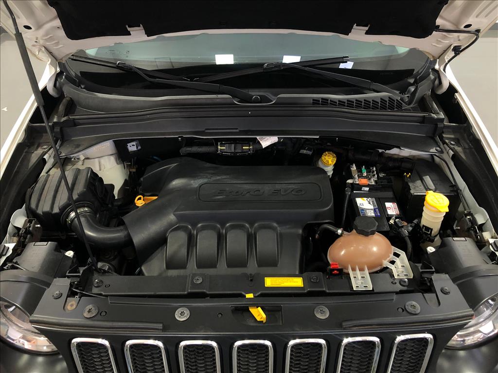 RENEGADE 1.8 16V FLEX SPORT 4P MANUAL
