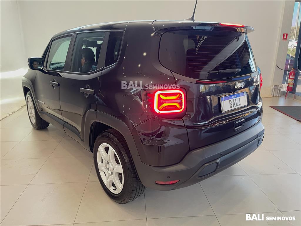RENEGADE 1.3 T270 TURBO FLEX AT65