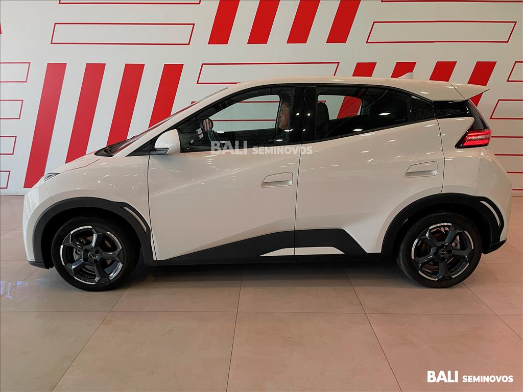 DOLPHIN MINI 38 KW ELÉTRICO4