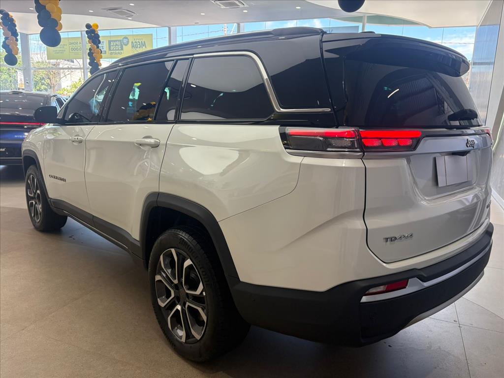 COMMANDER 2.0 TD380 TURBO DIESEL LIMITED AT96