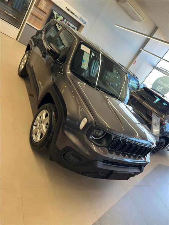 RENEGADE 1.3 T270 TURBO FLEX AT60