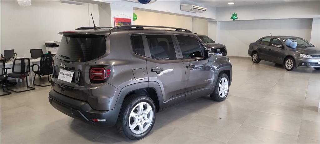 RENEGADE 1.3 T270 TURBO FLEX AT612