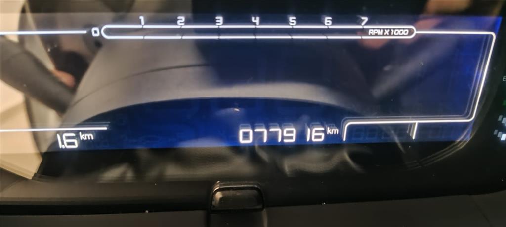 C4 CACTUS 1.6 THP FLEX SHINE EAT610