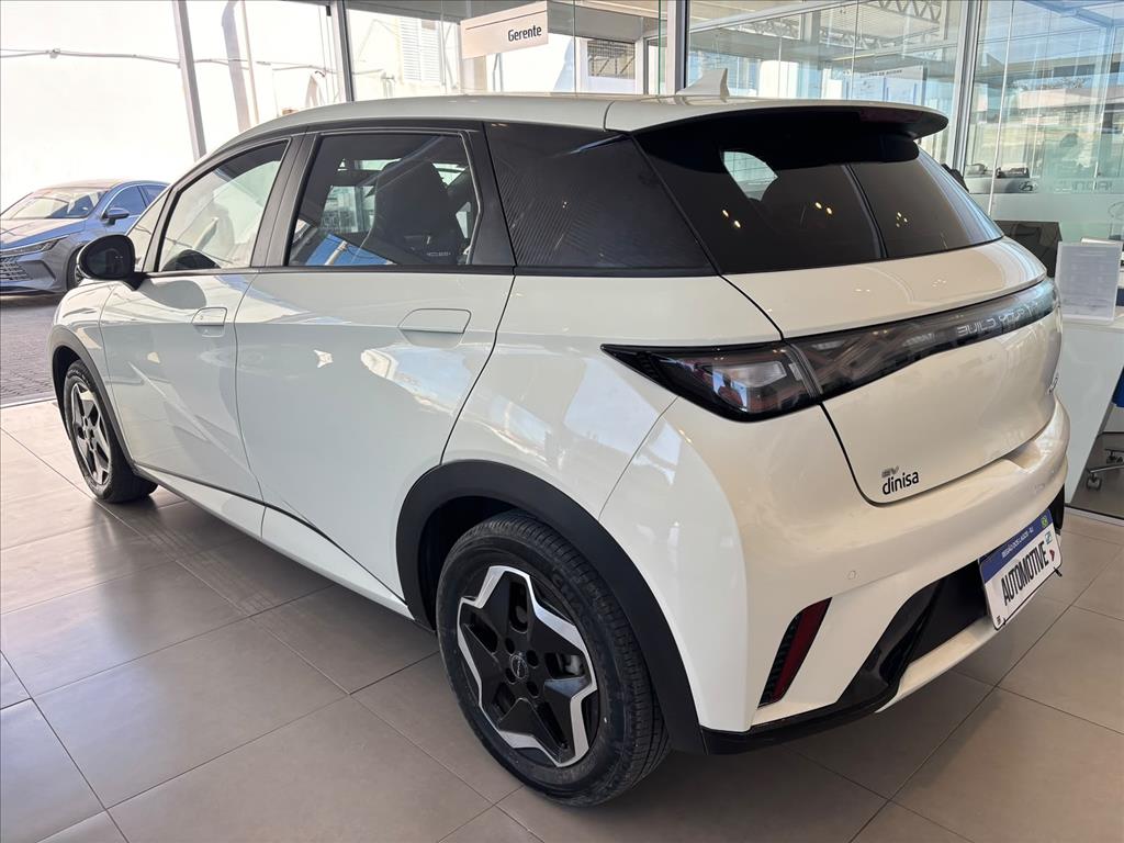 DOLPHIN 44,9 KW ELÉTRICO3