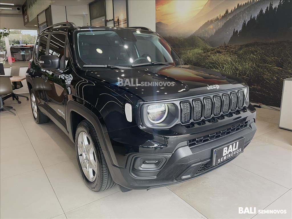 RENEGADE 1.3 T270 TURBO FLEX AT65