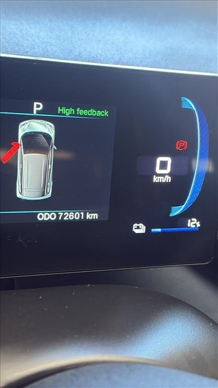 DOLPHIN MINI 38 KW ELÉTRICO2