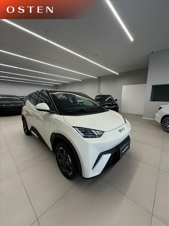 BYD-DOLPHIN MINI-38 KW ELÉTRICO GS