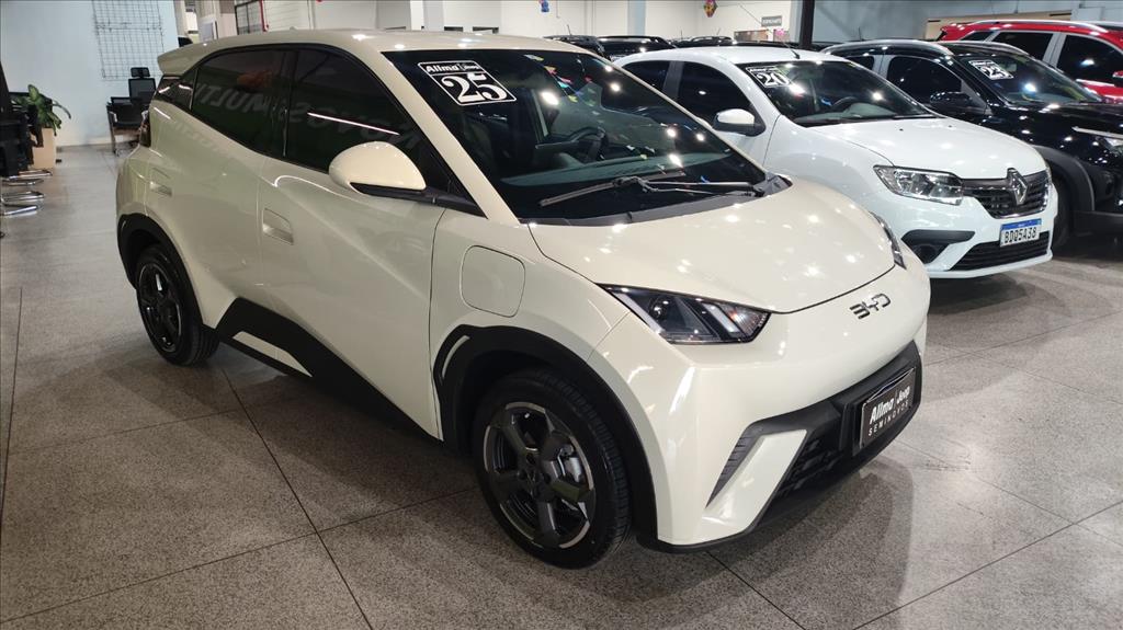 DOLPHIN MINI 38 KW ELÉTRICO10