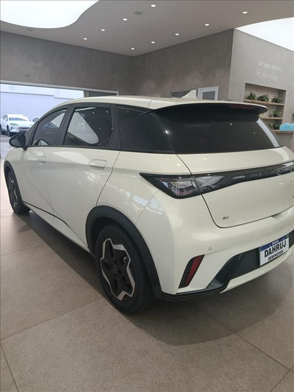 DOLPHIN 44,9 KW ELÉTRICO9