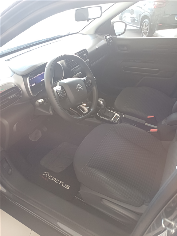 C4 CACTUS 1.6 VTI 120 FLEX FEEL EAT6
