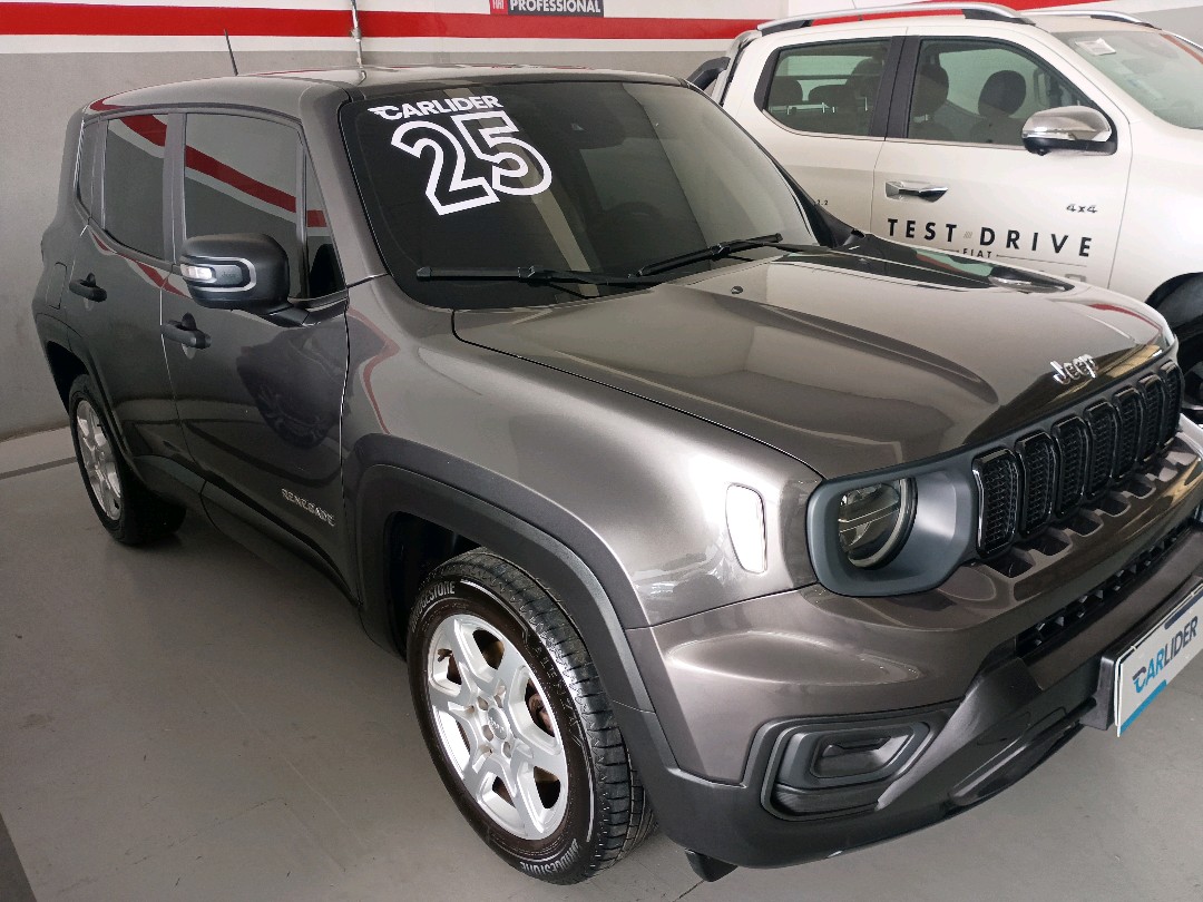 RENEGADE 1.3 T270 TURBO FLEX AT64