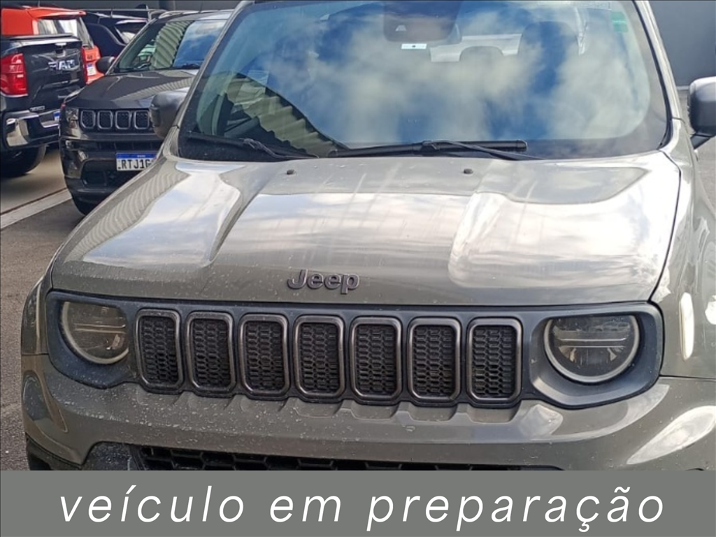 RENEGADE 1.3 T270 TURBO FLEX S 4X4 AT9