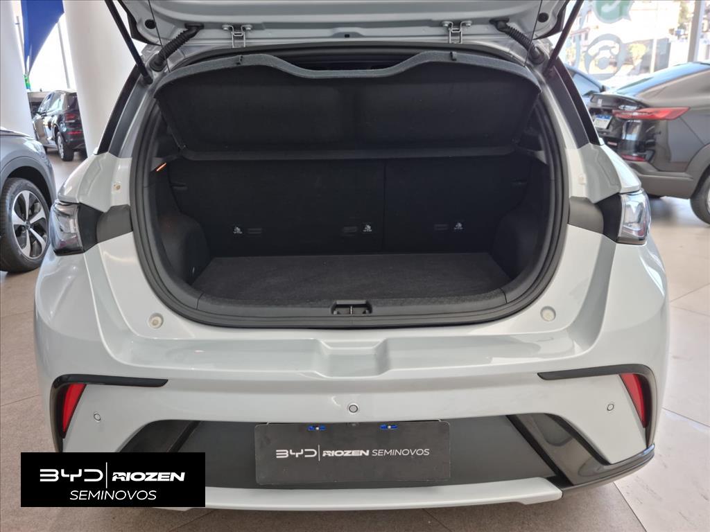 DOLPHIN 60,5 KW ELÉTRICO PLUS4