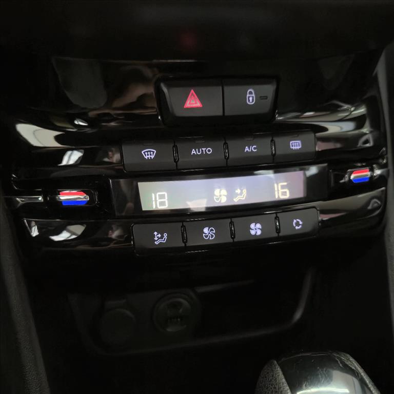 208 1.6 GRIFFE 16V FLEX 4P MANUAL