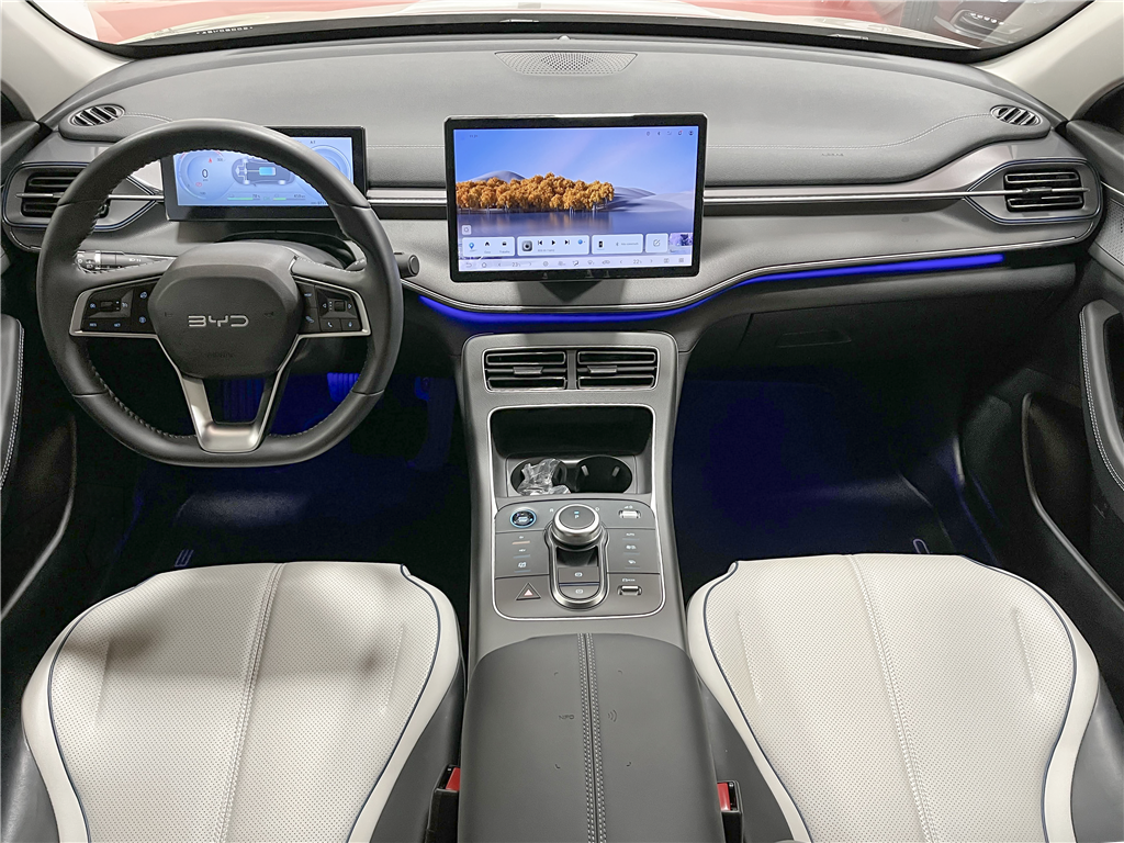 KING 1.5 DM-I PHEV GS AUTOMÁTICO9