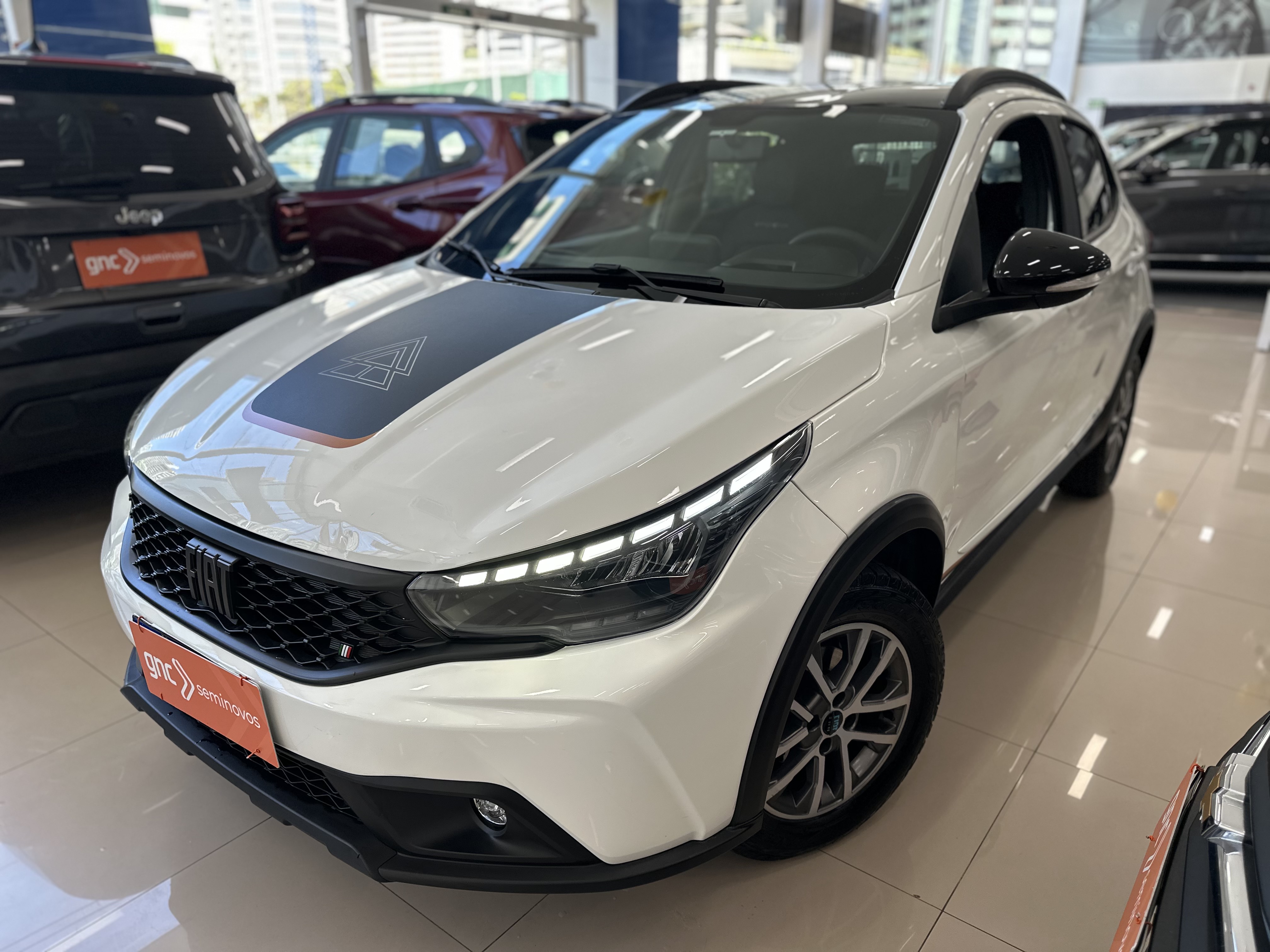 FIAT ARGO 1.3 FIREFLY FLEX TREKKING MANUAL