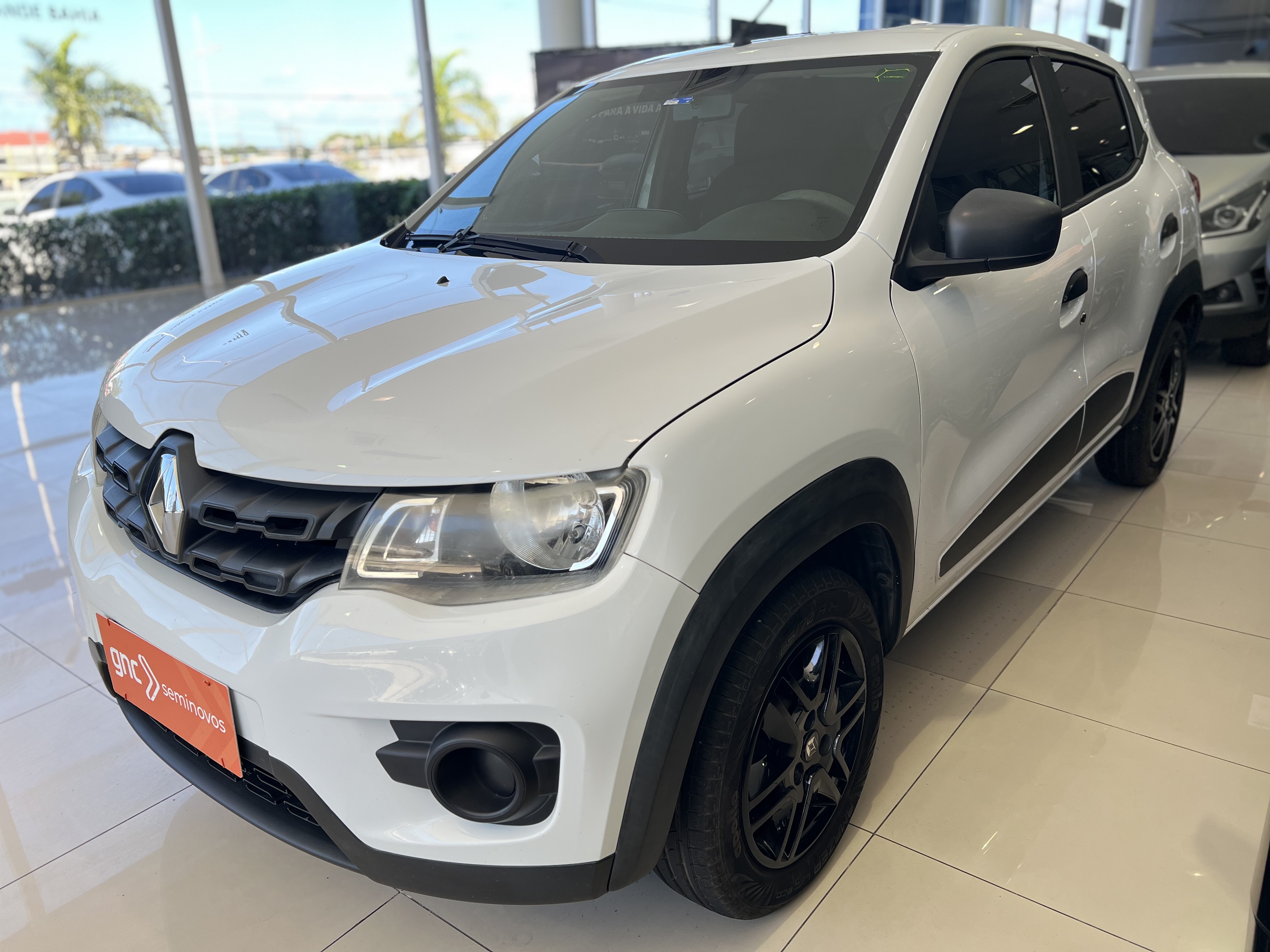 RENAULT KWID 1.0 12V SCE FLEX ZEN MANUAL