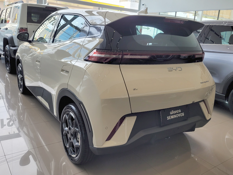DOLPHIN MINI 38 KW ELÉTRICO GS5