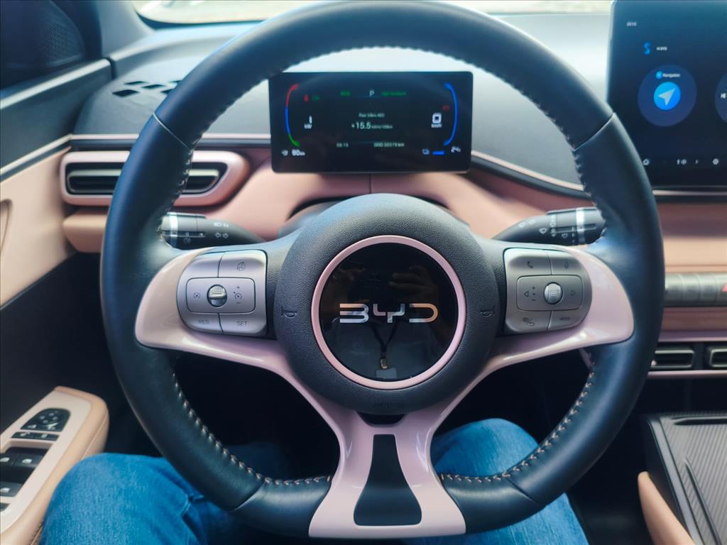 DOLPHIN MINI 38 KW ELÉTRICO 5L12