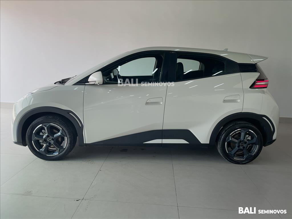 DOLPHIN MINI 38 KW ELÉTRICO 5L4