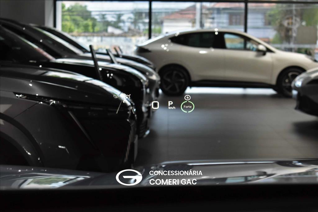 GS4 2.0 HEV ELITE AUTOMÁTICO14