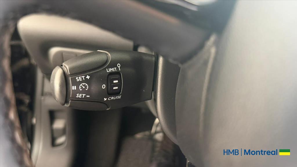 C4 CACTUS 1.6 THP FLEX SHINE PACK EAT617