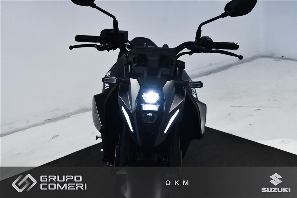 GSX 8S19