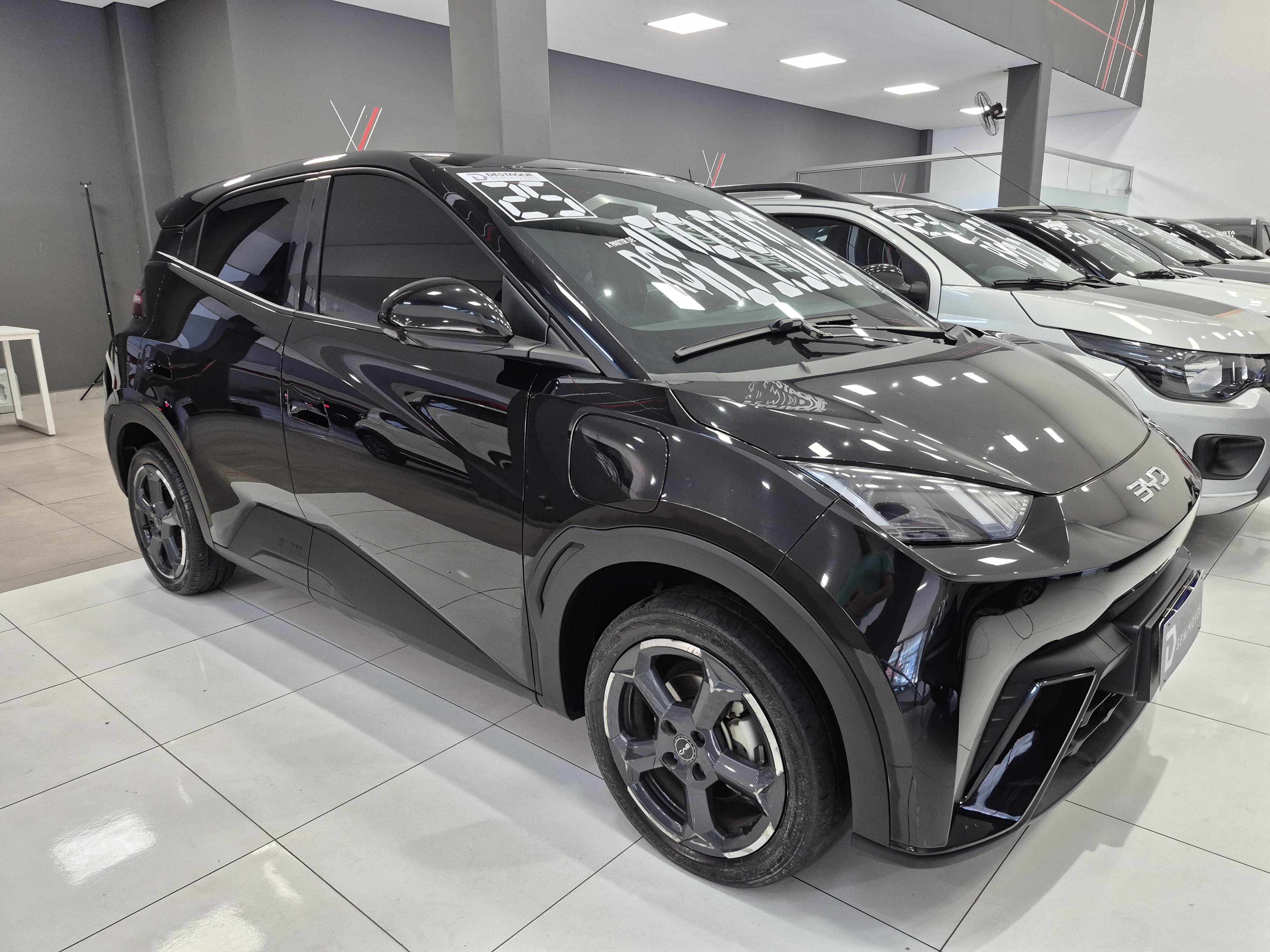 BYD DOLPHIN MINI