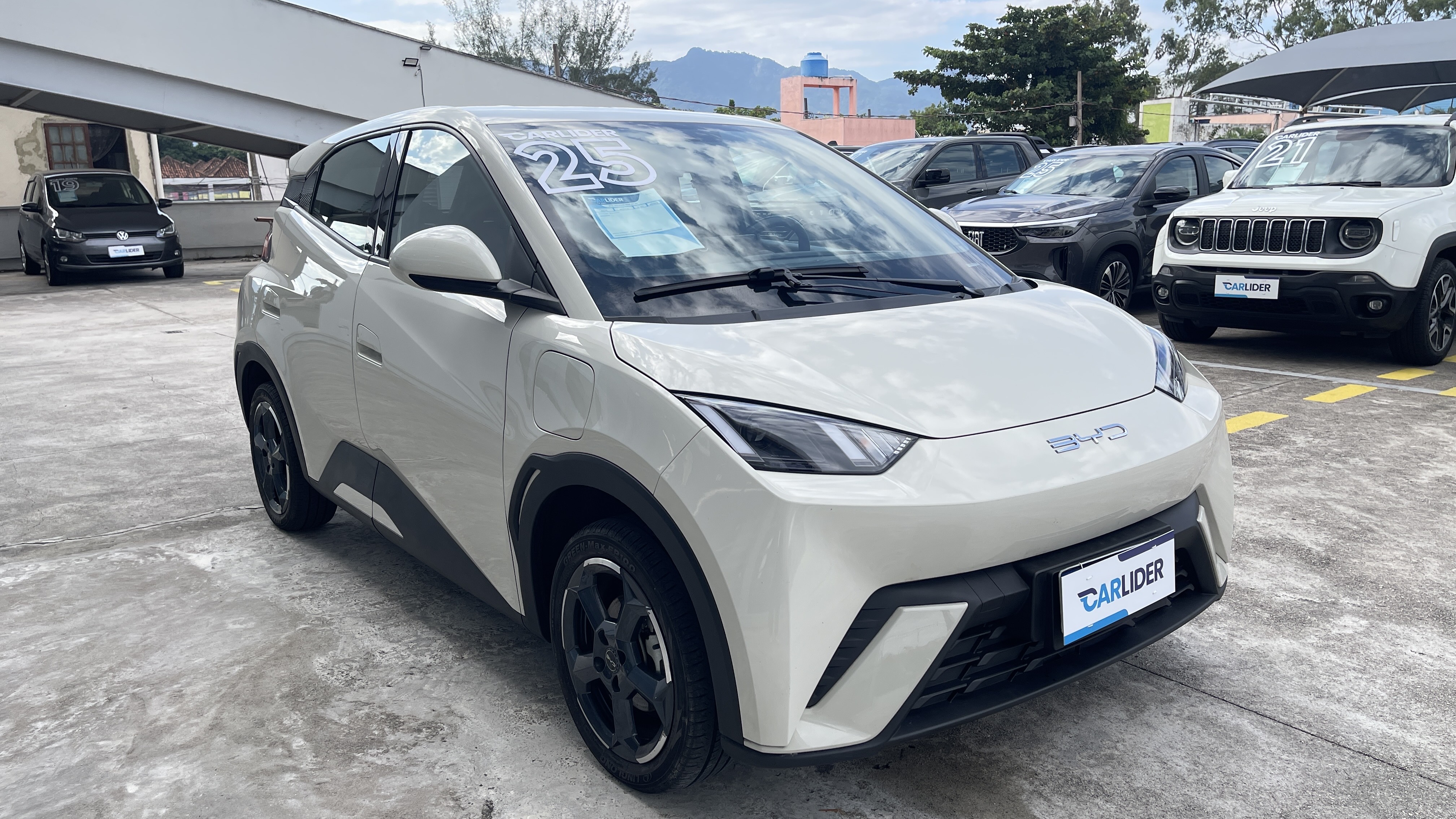 DOLPHIN MINI 38 KW ELÉTRICO2